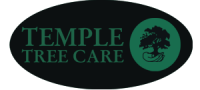 temple tree care
