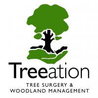 Treeation