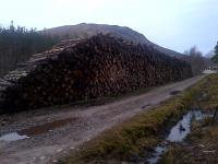 Cheshire Logs