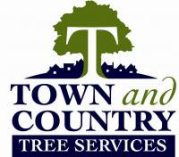 T & C Tree Services