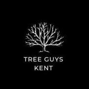 Tree Guys Kent