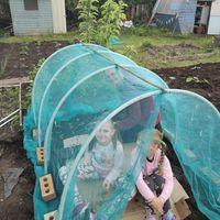 Kelly Allotment.