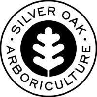 Silver Oak Tree Surgery