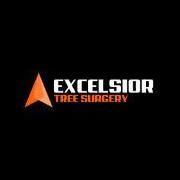 Excels1or