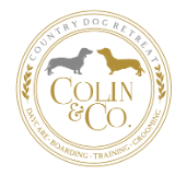 Colin and Co - Zuzana